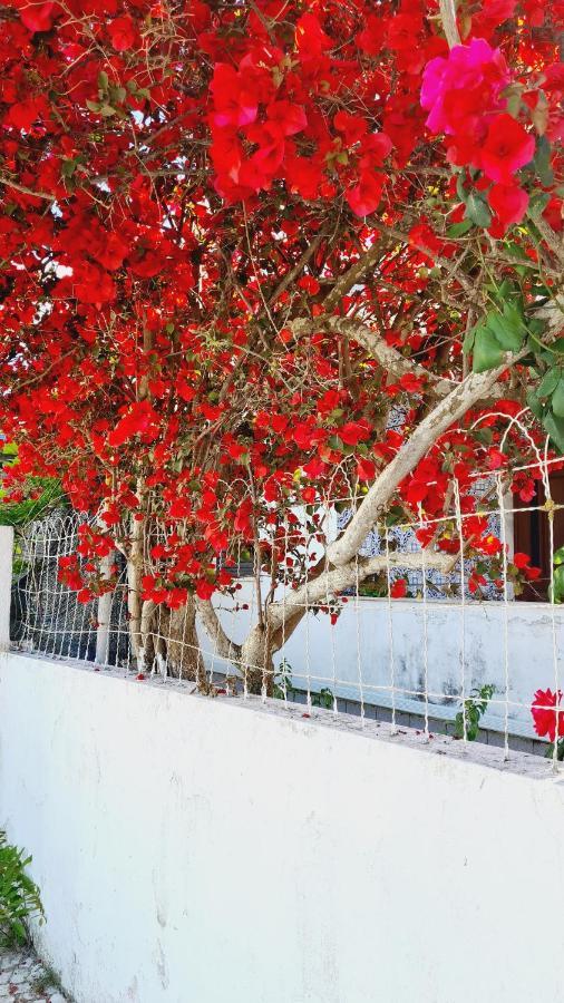 Arrabida Cozy House Villa Palmela Exterior photo